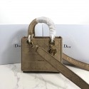 Best LADY DIOR TOTE BAG IN EMBROIDERED CANVAS C4532 apricot JH07089CF36