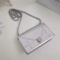 Dior DIORAMA leather Chain bag S0328 silver JH07219Qa67