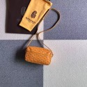Goyard Calfskin Leather Shoulder Bag 6788 Yellow JH06650dJ42