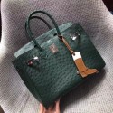 Hermes Real ostrich leather birkin bag BK35 green JH01445rj41