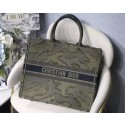 Imitation DIOR BOOK TOTE BAG IN EMBROIDERED CANVAS C1286 green JH07075LQ13