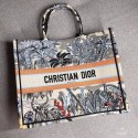 Knockoff DIOR BOOK TOTE BAG IN EMBROIDERED CANVAS C1286 Light Grey JH07192Tm92