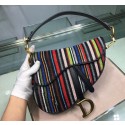 Knockoff Dior SADDLE Embroidered Leather Mini bag M0446 JH07167ll66