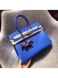 Hermes Real ostrich leather birkin bag BK35 blue JH01446Py32