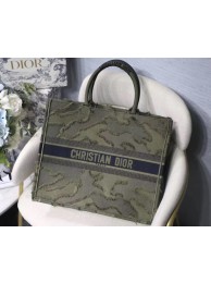 Imitation DIOR BOOK TOTE BAG IN EMBROIDERED CANVAS C1286 green JH07075LQ13