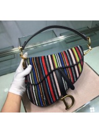 Knockoff Dior SADDLE Embroidered Leather Mini bag M0446 JH07167ll66